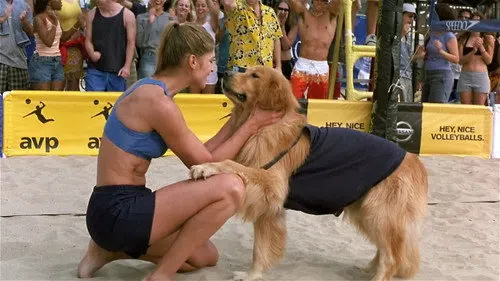 Harika Köpek 5 izle
