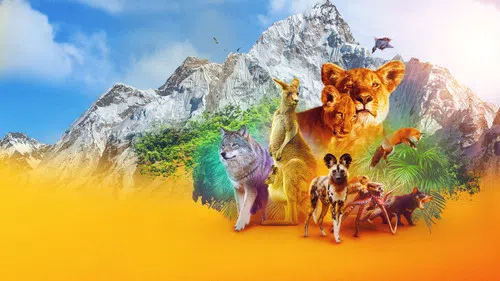 Hayvanların Sırları izle