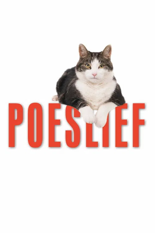 Kedi Aşkına