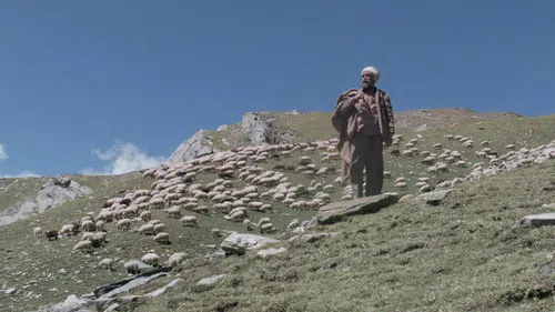 Sona Dhwandi Bhed Te Suchha Pahad izle afişi