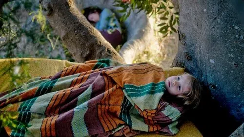 Ağaç izle