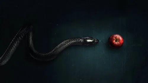 Evil izle