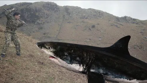 Mountain Shark izle afişi