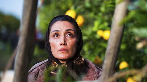 Orange Days izle afişi