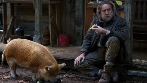 Domuz izle