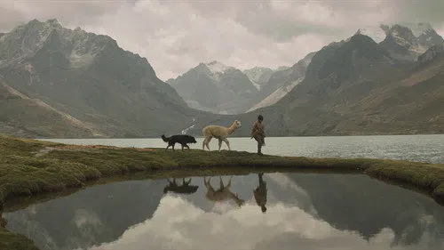 Raíz izle afişi