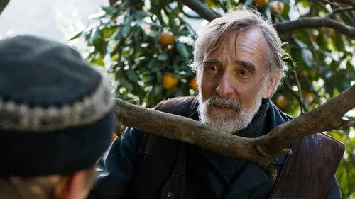Mandalina Bahçesi izle
