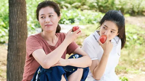 Little Forest izle afişi