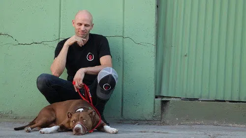 Dog: Impossible izle