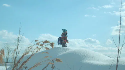 泳ぎすぎた夜 izle