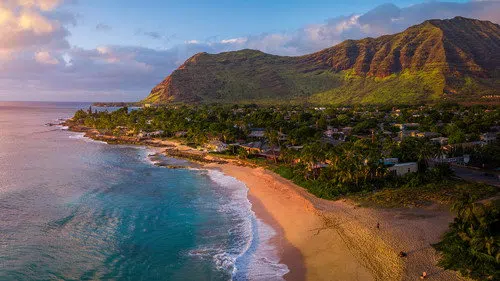 Vahşi Yolculuk: Hawaii izle afişi