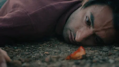 Karganın Uykusu izle afişi