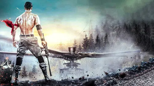 Baaghi 2 izle afişi
