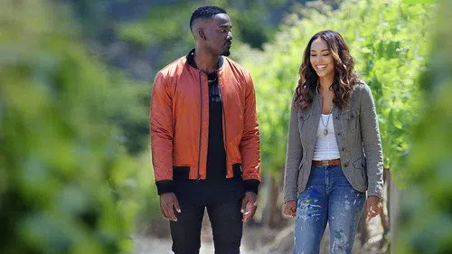 Love Jacked izle afişi