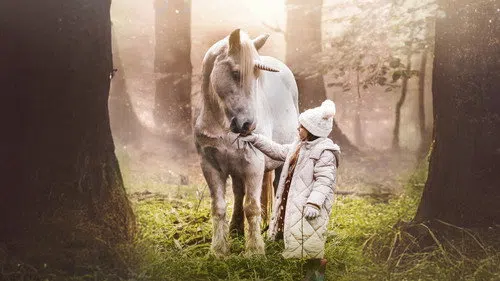 Tale of the Forest Unicorn izle afişi