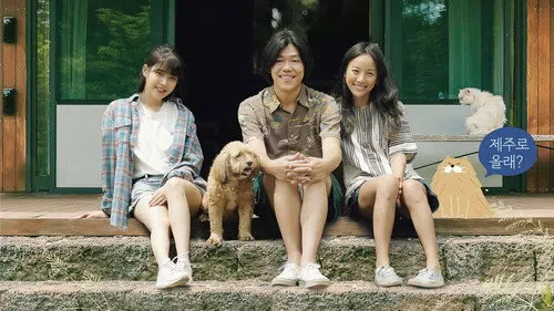 효리네 민박 izle