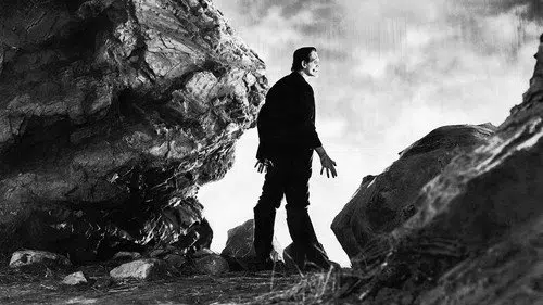 Frankenstein izle