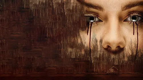 Cabin Fever izle afişi
