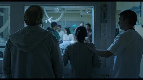 Blindsone izle afişi