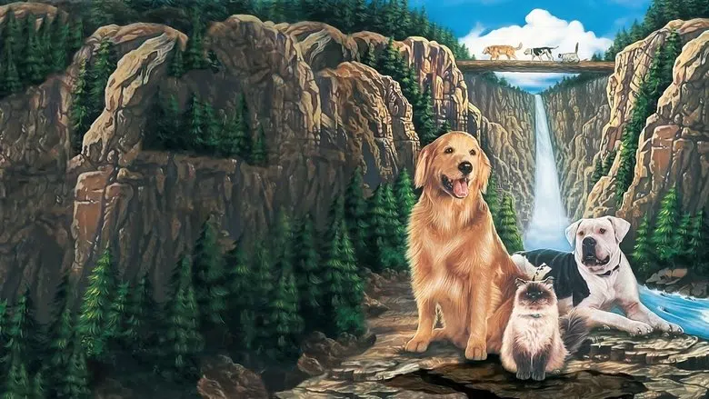Yuvaya Dönüş izle