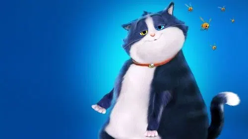 Meraklı Kedinin 10 Yaşamı izle