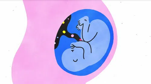 Seks, Açıklıyoruz izle