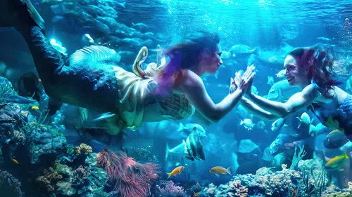 MerPeople izle afişi