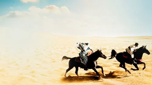 The Black Stallion Returns izle