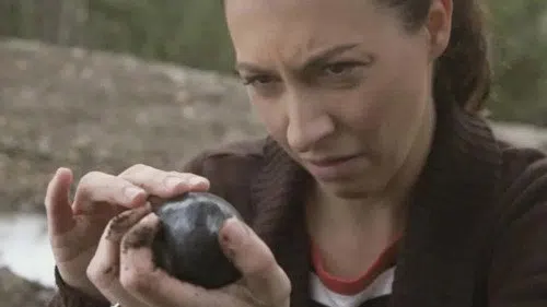 The Device izle