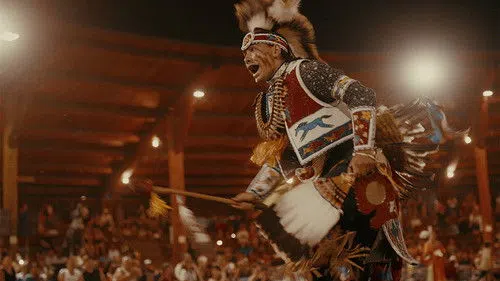 Sugarcane izle afişi