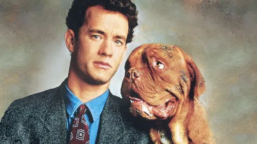 Dikkat Köpek Var izle