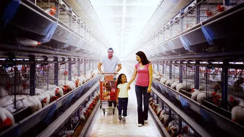 Yemeğimizi Zehir Eden Kirli Gerçekler izle
