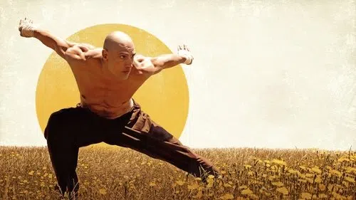 El puño del cóndor izle afişi
