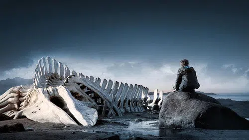 Leviathan izle