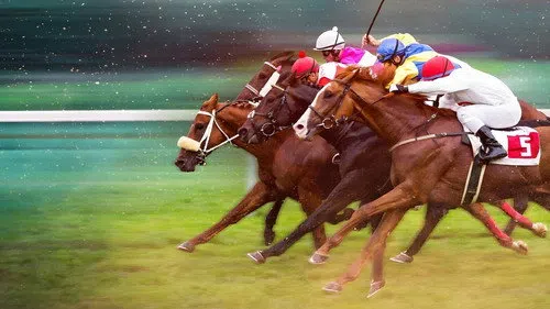 Race for the Crown izle afişi