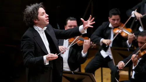 Yaşasın Maestro! izle afişi