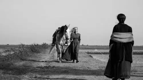 Elisa y Marcela izle afişi