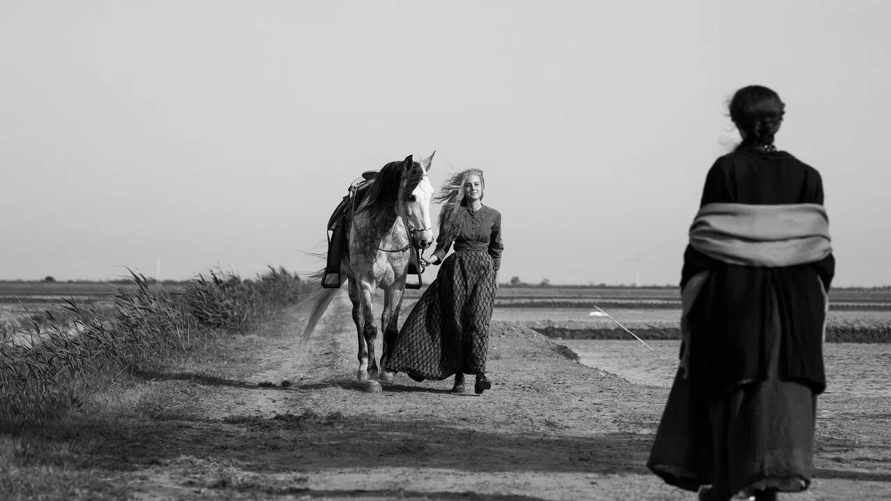 Elisa y Marcela izle afişi
