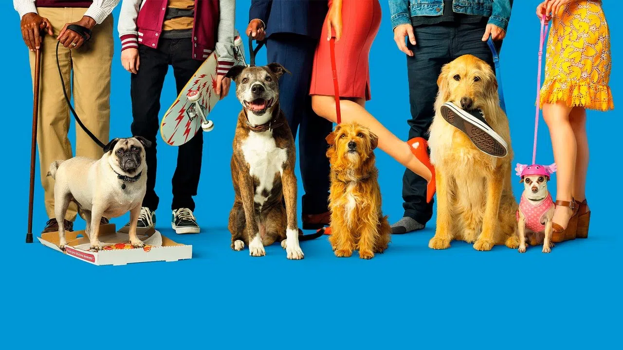 Dog Days izle afişi