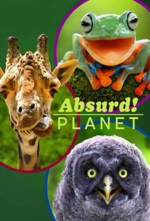 Absürt Gezegen